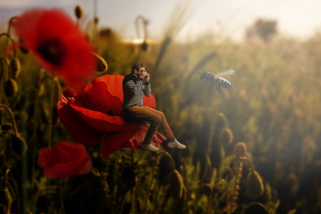 autoportrait de david bascunana du studio b