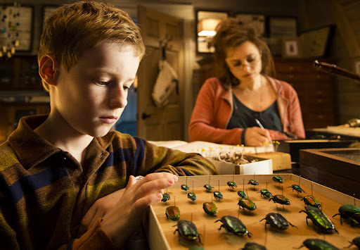 la créativité chez les photographesjean pierre jeunet