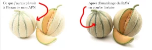 Pourquoi je ne montre pas mes photos à l’écran du boîtier